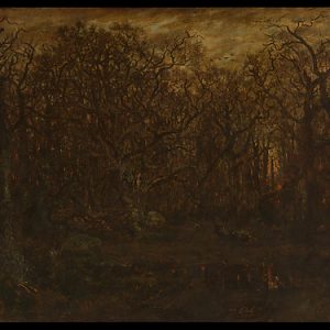 The Forest in Winter at Sunset