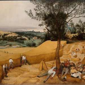 The Harvesters